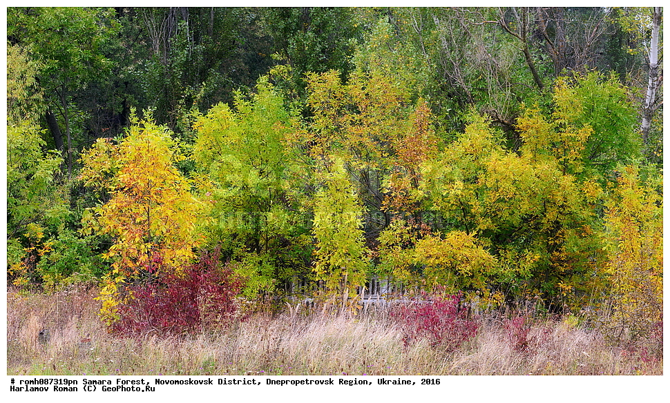 ��������� ���, �������������� �����, ���������������� �������, �������, 2016, ���, �������, ������, ������, �����, �������, ������, �����, ��������, ��������, ��������, �����