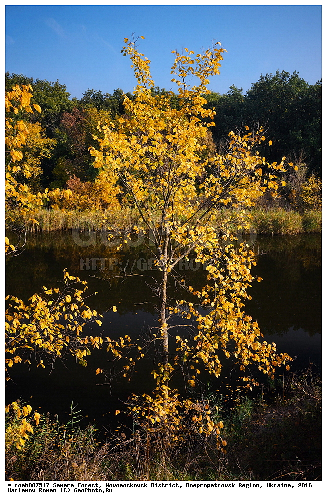 ��������� ���, �������������� �����, ���������������� �������, �������, 2016, ���, �����, ����, �������, ������, �����, ������, �������, �����, ����, ������, ��������, �����, ������