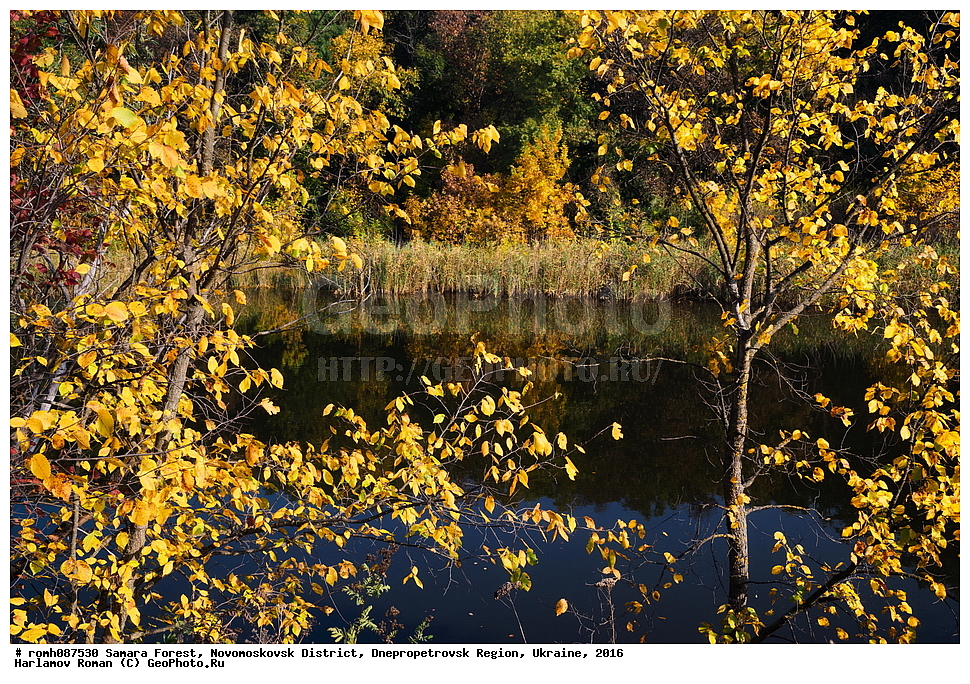 ��������� ���, �������������� �����, ���������������� �������, �������, 2016, ���, �����, ����, �������, ������, �����, ������, �������, �����, ����������, �����, ����, ������, ��������, �����, ������, 