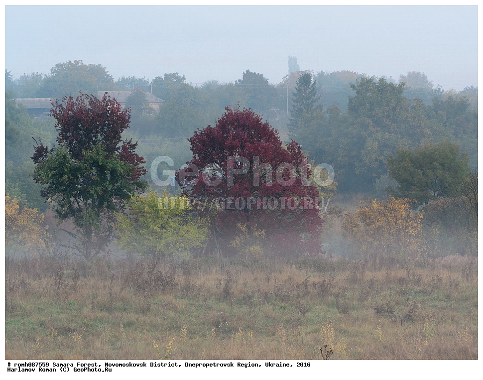 ��������� ���, �������������� �����, ���������������� �������, �������, 2016, ���, ����, �����, ����, �����, ������, �������, ������, ��������, ������, �����������, �������