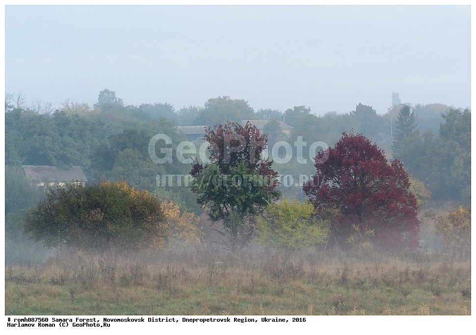 ��������� ���, �������������� �����, ���������������� �������, �������, 2016, ���, ����, �����, ����, �����, ������, �������, ������, ��������, ������, �����������, �������