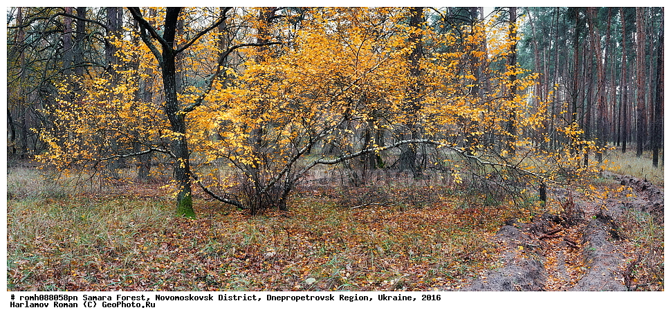 ��������� ���, �������������� �����, ���������������� �������, �������, 2016, ���, ������, �������, �����, ��������, ������, ������, �����, ����, ������, ��������, �����