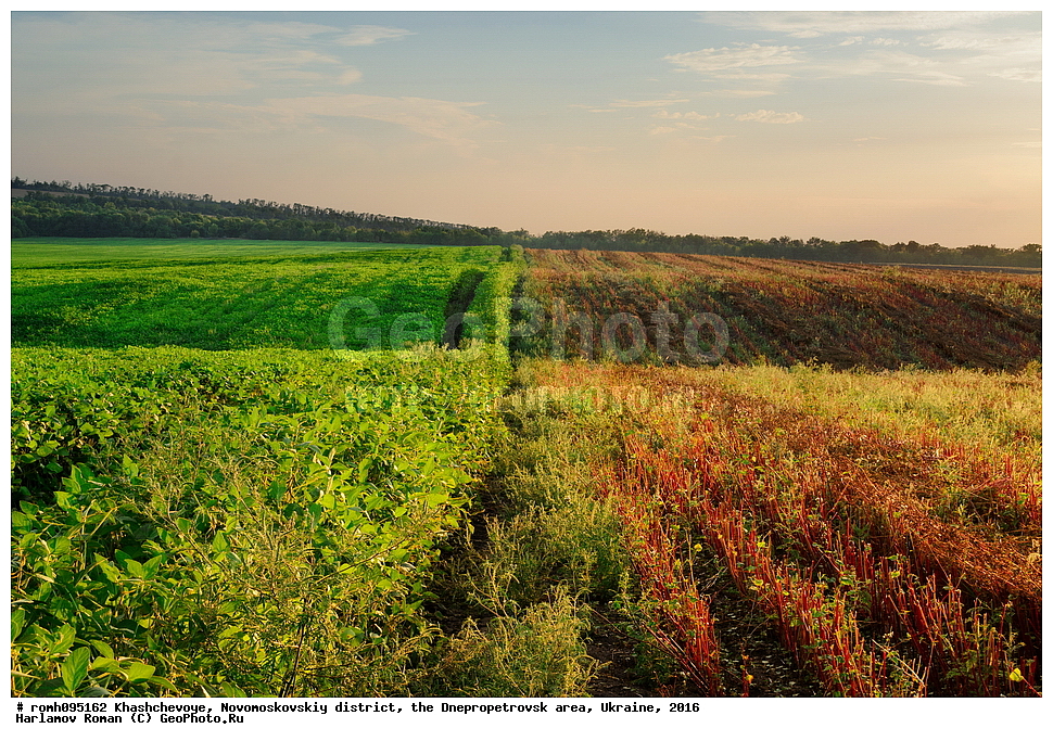 �������, �������������� �����, ���������������� �������, �������, 2016, ����, ������, ����, ������, ��������, �������, �������, ��������, �����, ���, �����, ����, �����, ��������, �����, ������, �����