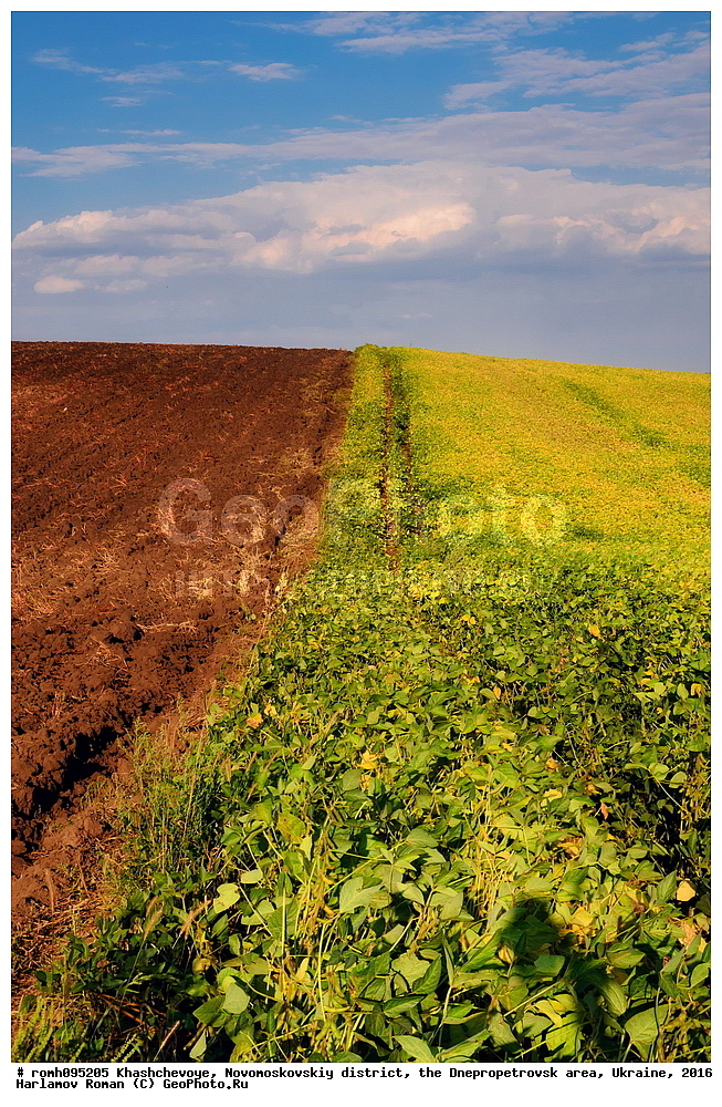 �������, �������������� �����, ���������������� �������, �������, 2016, ����, ������, ����, ������, ��������, ������, �������, �������, ��������, �����, ���, �����, ����, �����, ��������, �����, �����, �����