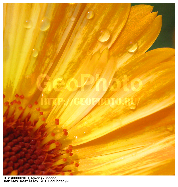 ��������� �������������, ��������� �������������, �����, �����