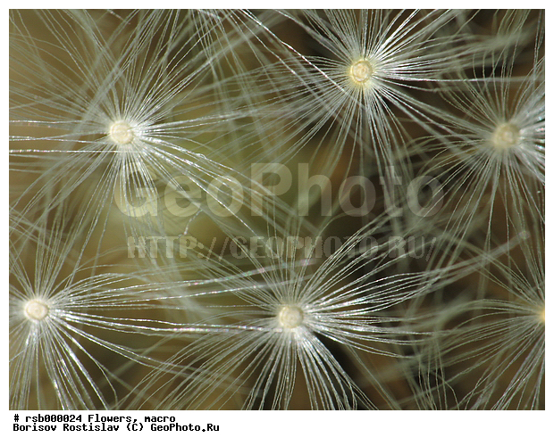 �����, ���������, ��������� �������������, �����