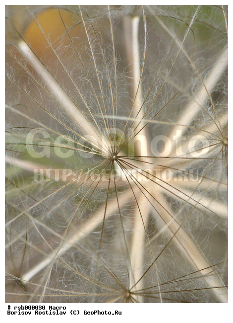 �����, �������������, ������� ����, �����