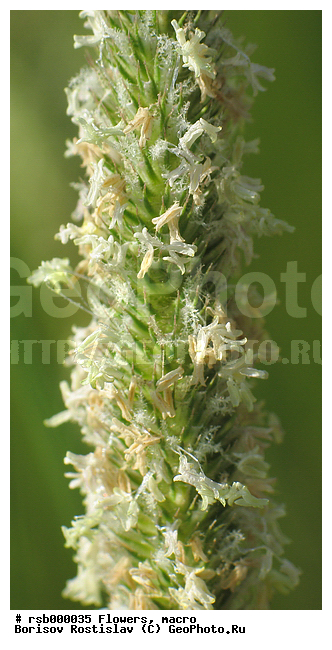 ���������� �������, �����, ����������, �����