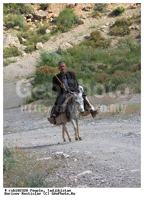 �����������, �������� ���������, ����, �������