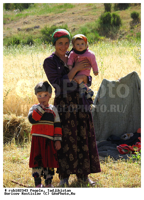 �����������, �������� ���������, ����, �������