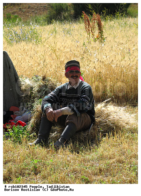 �����������, �������� ���������, ����, �������