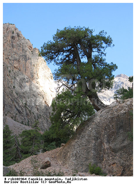 ����, �����������, ������� ����, ������ ������, ����, ������������, ������