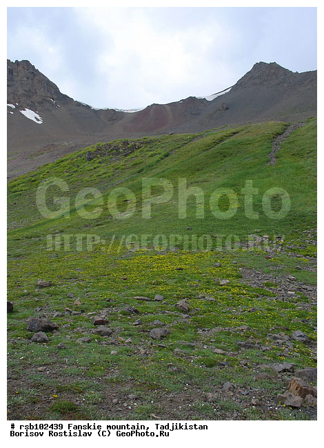 ������� ���������, �����������, ������� ����, ������ ������, ����, ������