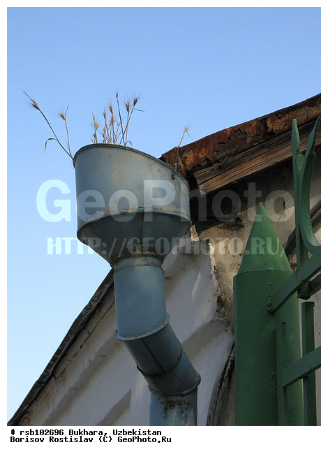 ������, ���������, ����������, �����������