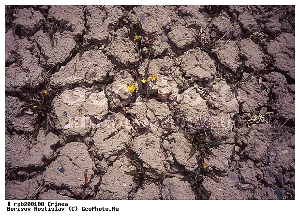 ��������, �����, ����-����, �����, ��������������� �����