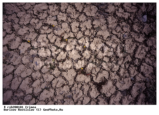 ��������, �����, ����-����, �����, ��������������� �����