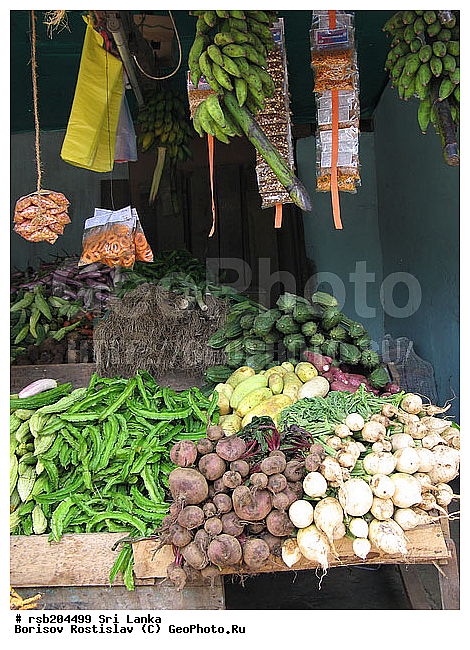 �����, ���-�����, ��������, �����