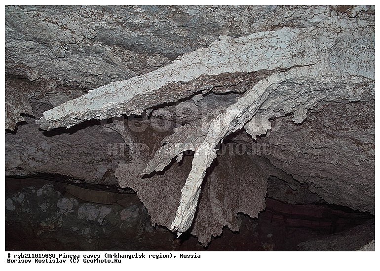 ������������� �������, �����������, ������, ������ �����������, ������, ������, ����, �����, ������