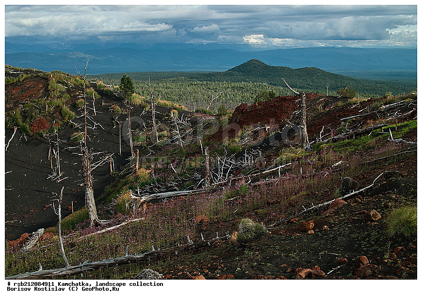 ��������, ����, 2012, ��������, ������, ����� �����������, �� ����������