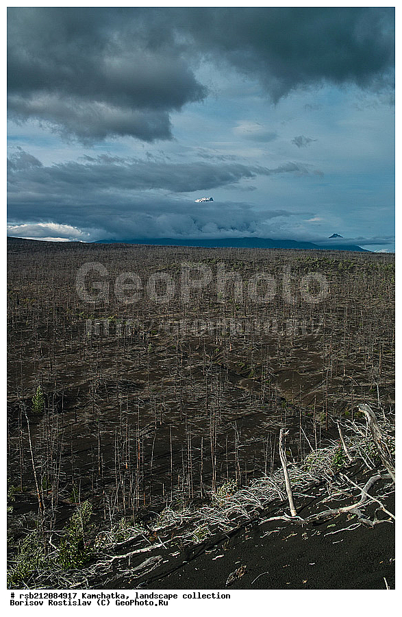 ��������, ����, 2012, ��������, ������, ����� �����������, �� ����������