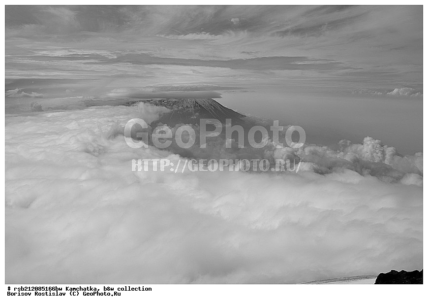 ��������, 2012