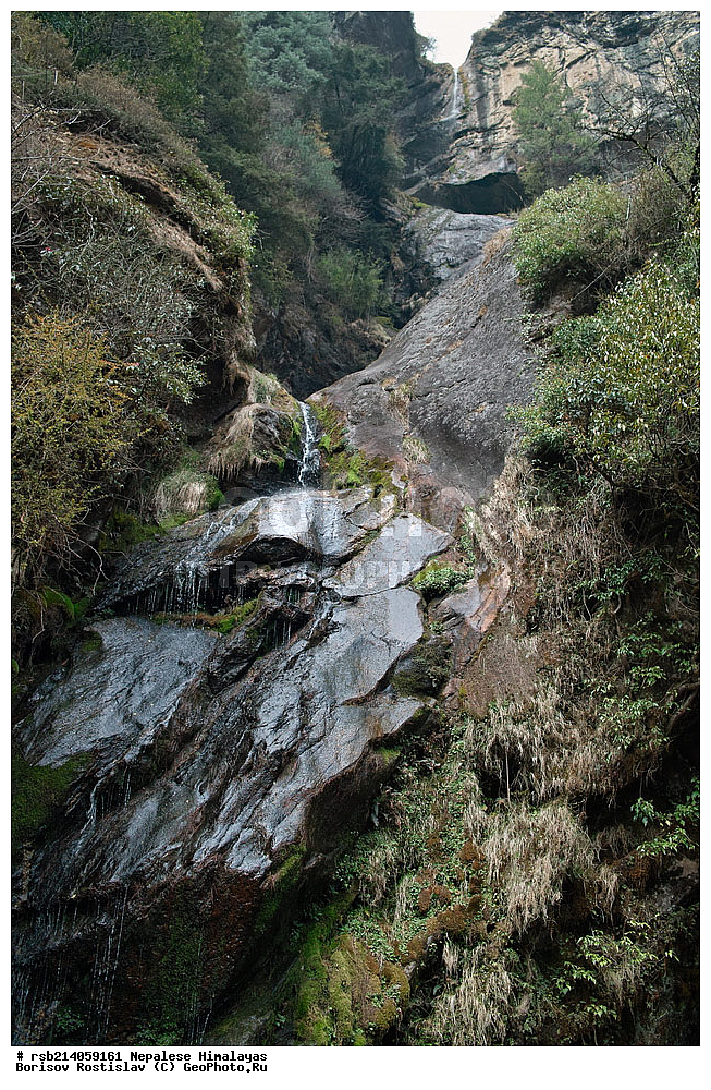 �����������, �������, ����������, �����, �������, �����, ������� ������