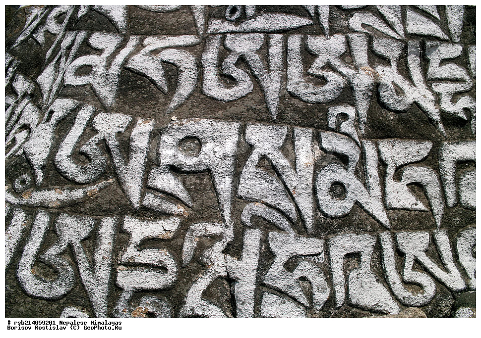 �����������, �������, ����������, �����, �������, �����, ������� ������