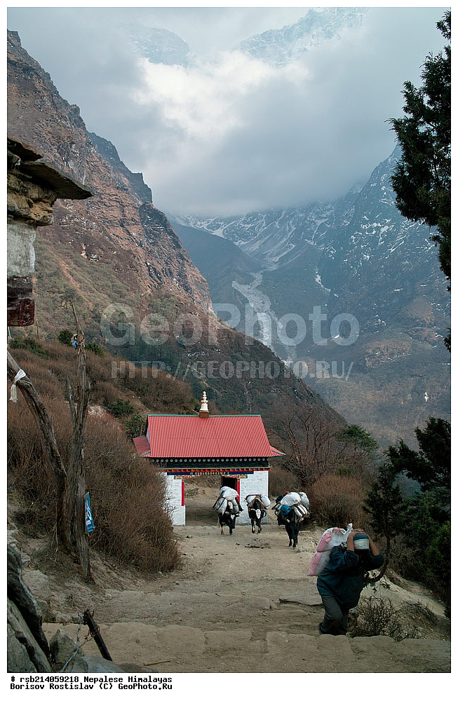 �����������, �������, ����������, �����, �������, �����, ������� ������, ��������