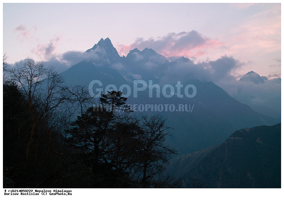 �����������, �������, ����������, �����, �������, �����, ������� ������, ��������