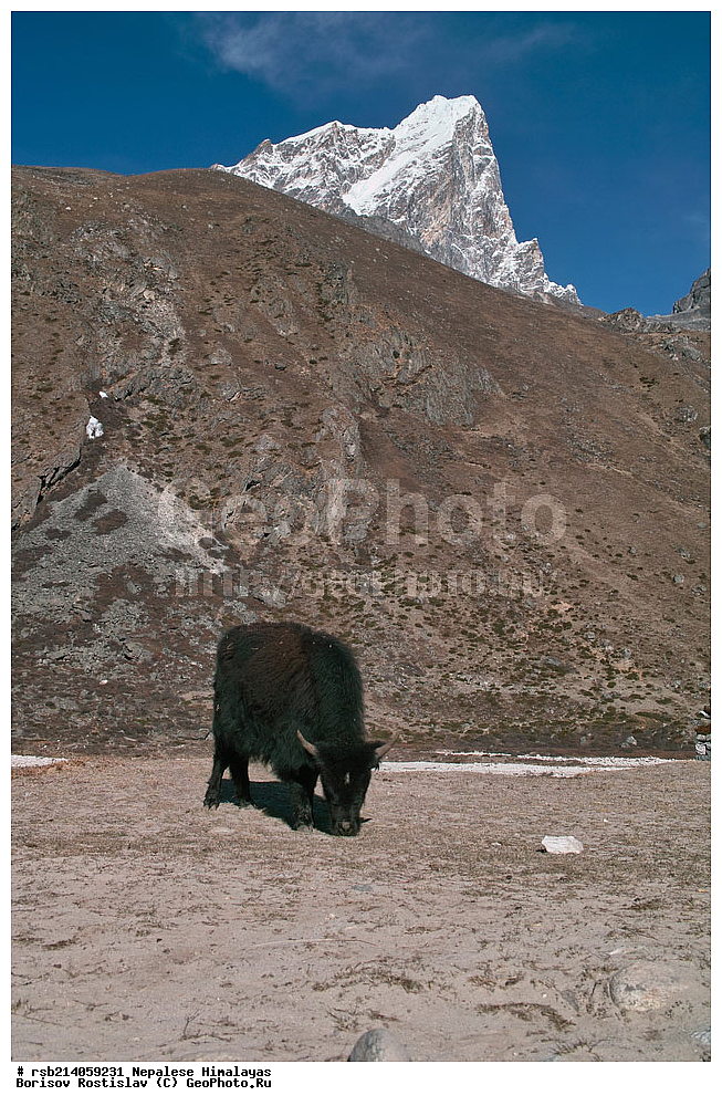 �����������, �������, ����������, �����, �������, �����, ������� ������