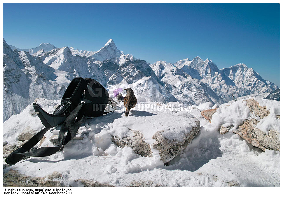 �����, �������, ���-������, ���-������, ���-������