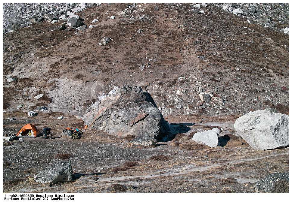 �����������, �������, ����������, �����, �������, ������ ���, ������