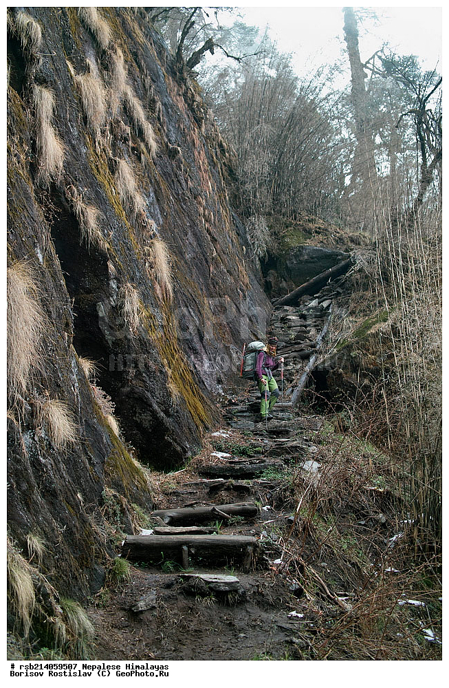 �����������, �������, ����������, �����, �������, ������ �����, ��������, ��������, �������, �����