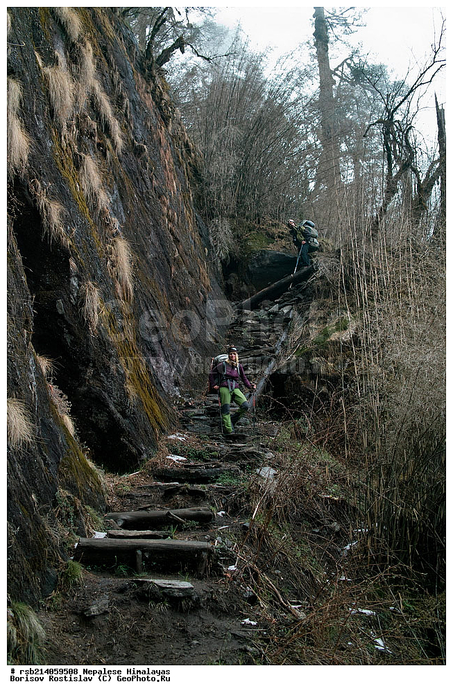 �����������, �������, ����������, �����, �������, ������ �����, ��������, ��������, �������, �����