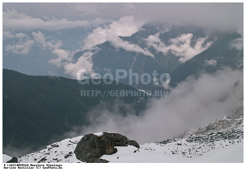 �����������, �������, ����������, �����, �������, ������ �����, ��������, ��������, �������, �����