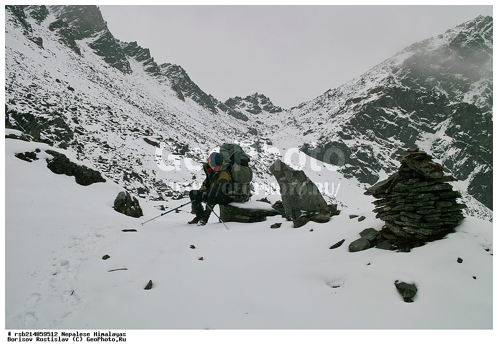 �����������, �������, ����������, �����, �������, ������ �����, ��������, ��������, �������, �����