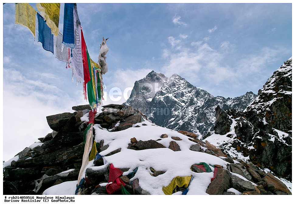 �����������, �������, ����������, �����, �������, ������ �����, ��������, ��������, �������, �����