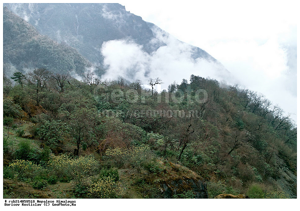 �����������, �������, ����������, �����, �������, �����