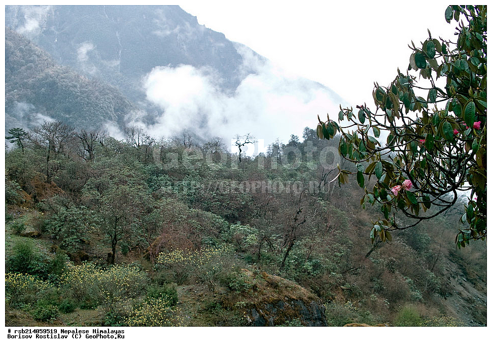 �����������, �������, ����������, �����, �������, �����