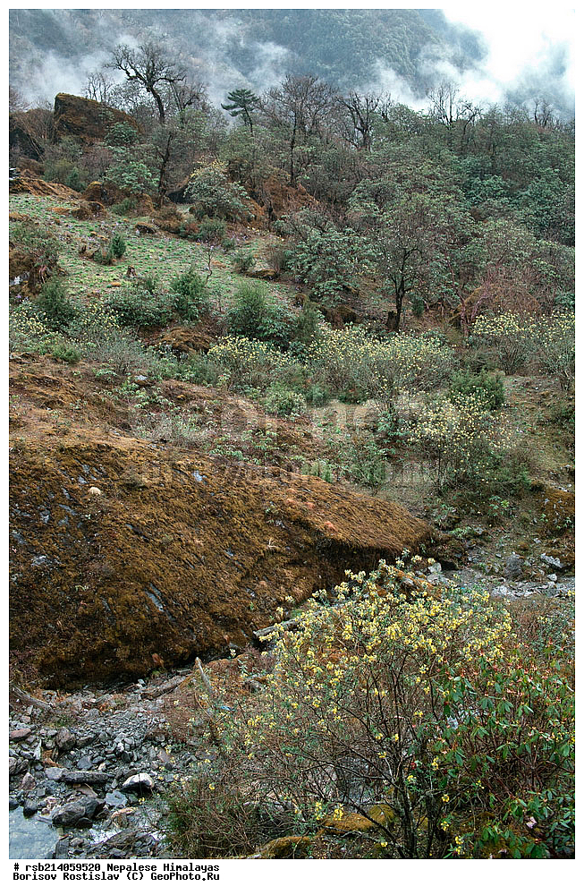 �����������, �������, ����������, �����, �������, �����