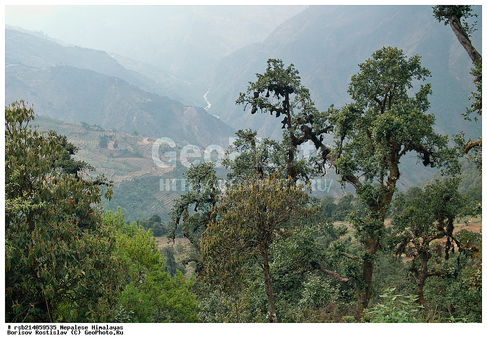 �����������, �������, ����������, �����, �������, �����, �����