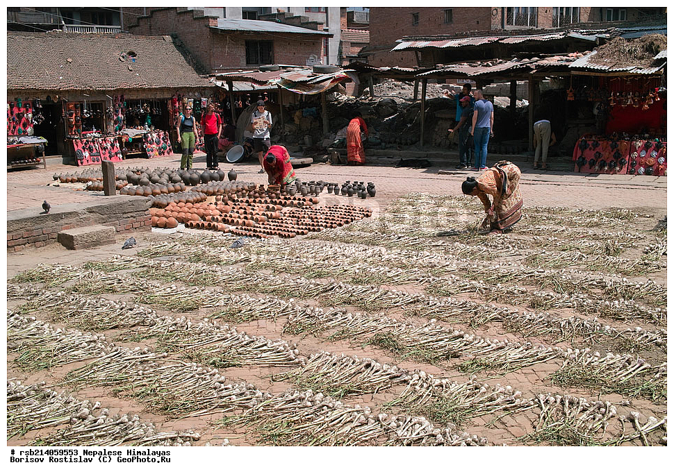 �����, �������, �����, ���������, ��������