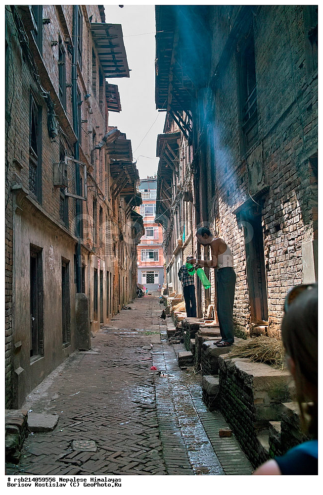 �����, �������, �����, ���������, ��������