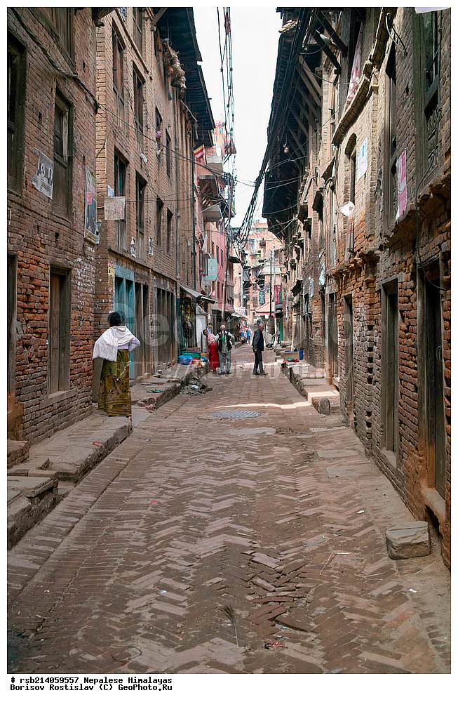 �����, �������, �����, ���������, ��������