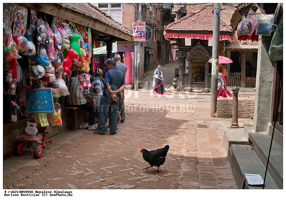 �����, �������, �����, ���������, ��������