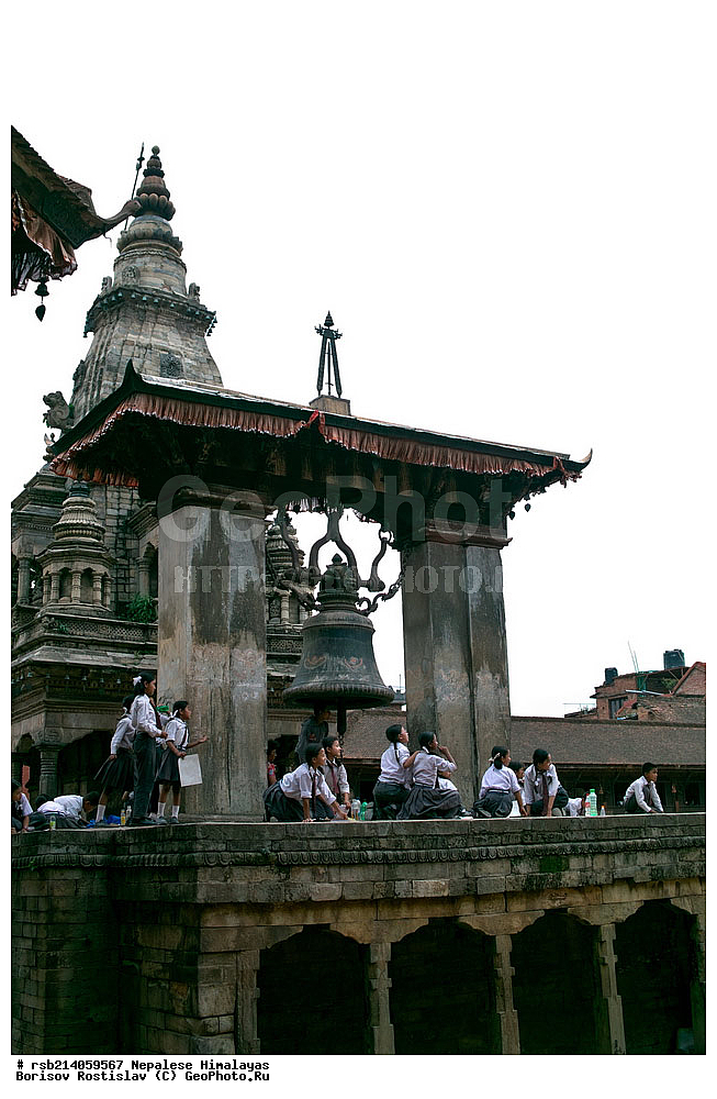 �����, �������, �����, ���������, ��������