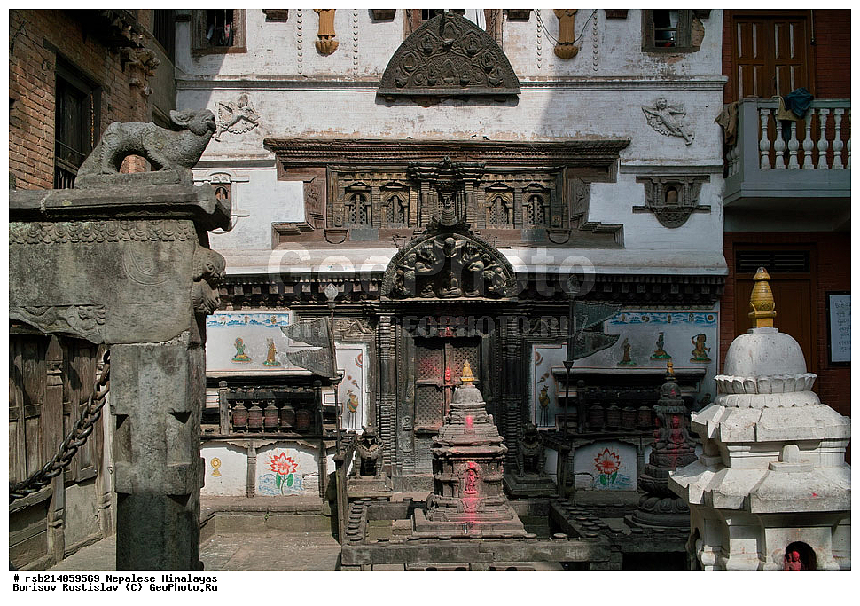 �����, �������, �����, ���������, ��������