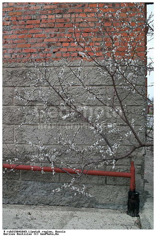 ����, �������� �������, ����������,������, �����������