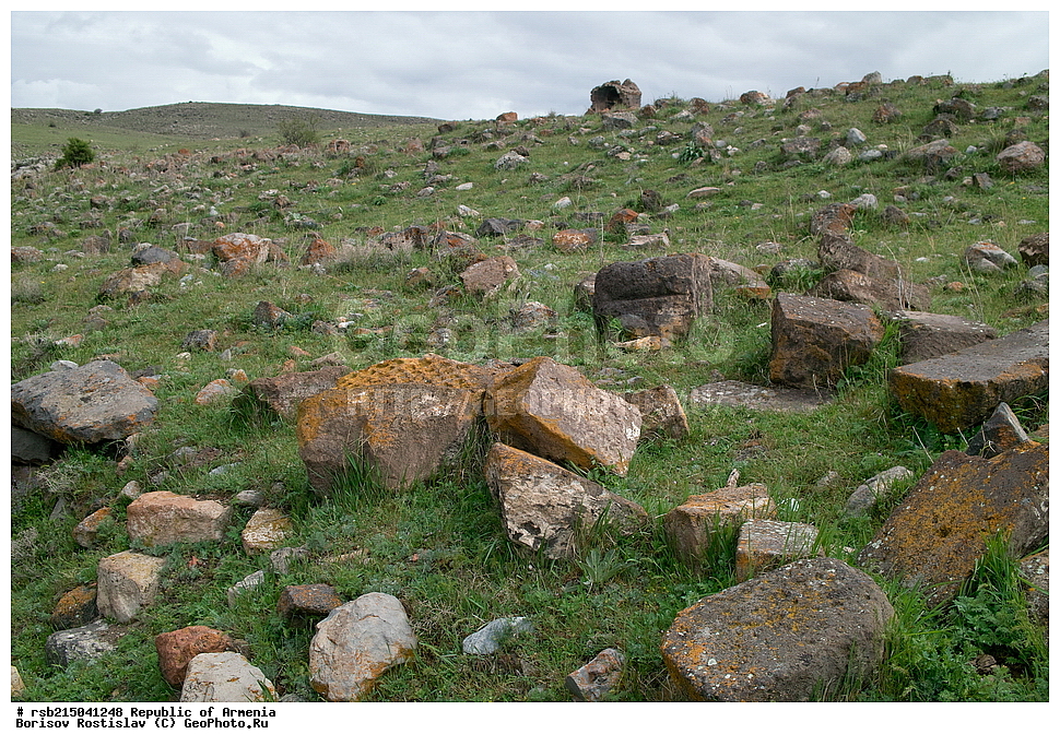 �����������, ����� ������, ����������, ���������� �������, ������, �������, 7 ���