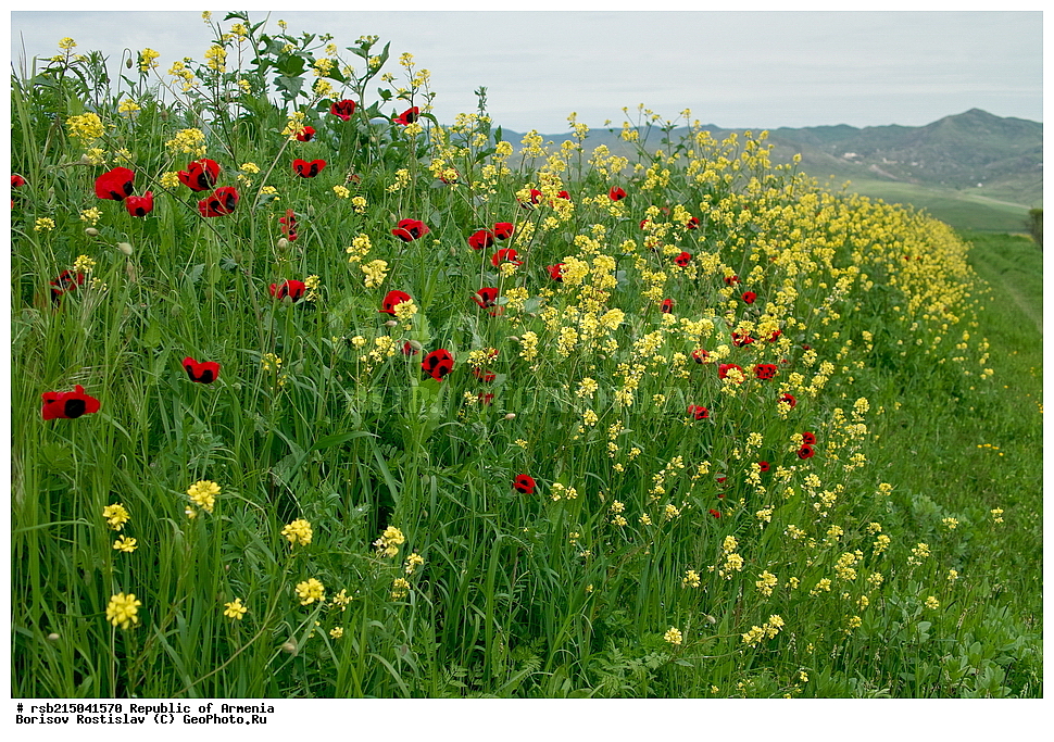 ����� ������, ����������, ���������� �������, ������, ������, ������, �������, ����, �������������